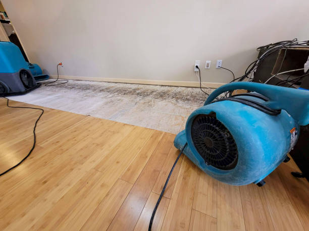 Professional Water Removal technician working in Finleyville, PA